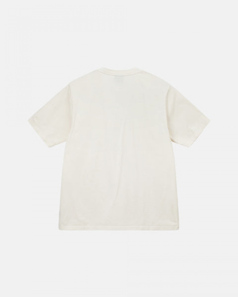 Beige Men's Stussy Pigment Dyed Crew Tees | JTG-2917