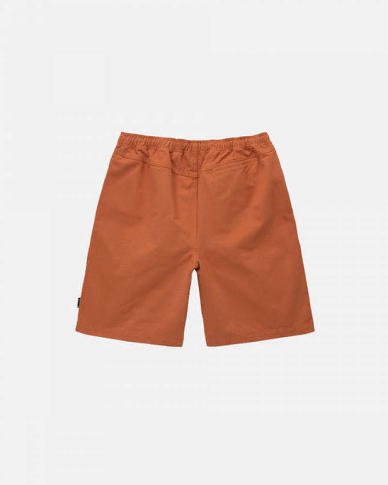 Brown Men's Stussy Brushed Beach Shorts | XKB-9318