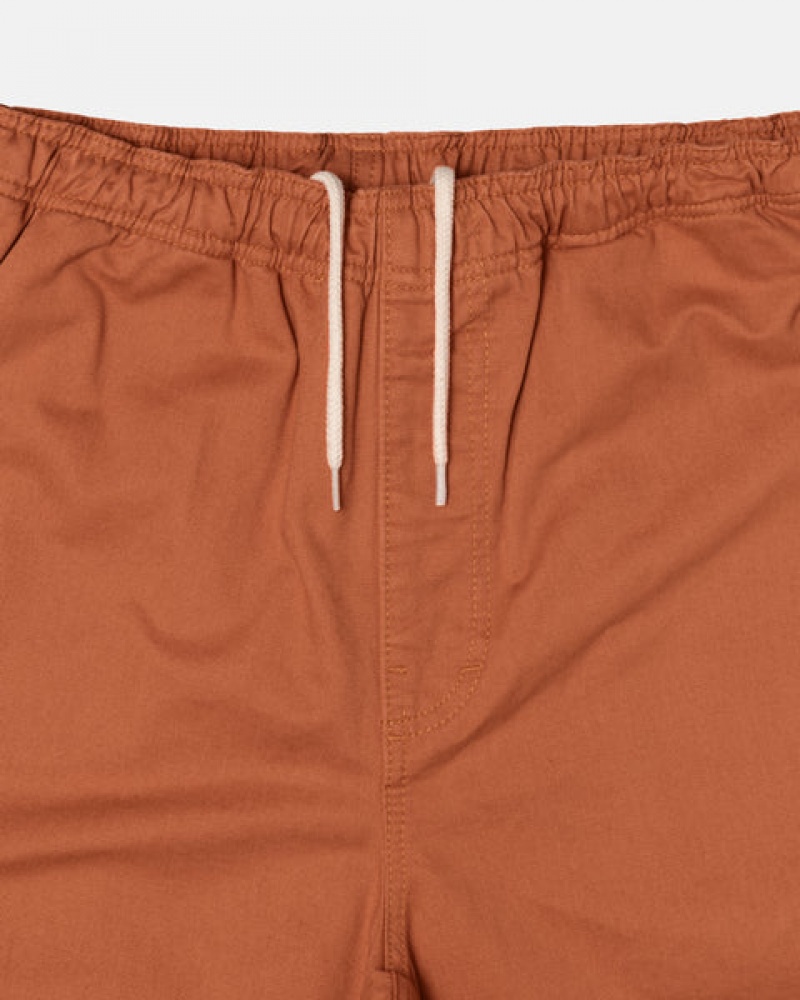 Brown Men's Stussy Brushed Beach Shorts | XKB-9318