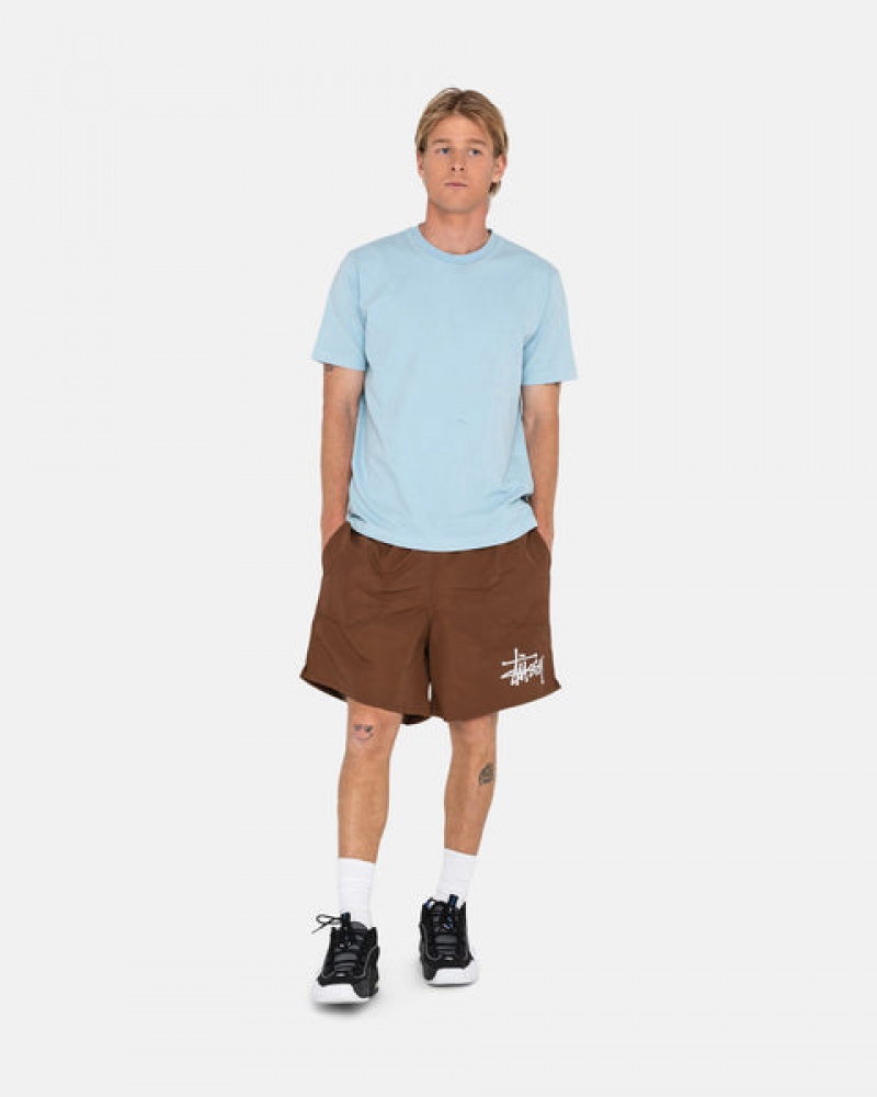 Coffee Men's Stussy Big Basic Water Short Swimwear | HCM-9584