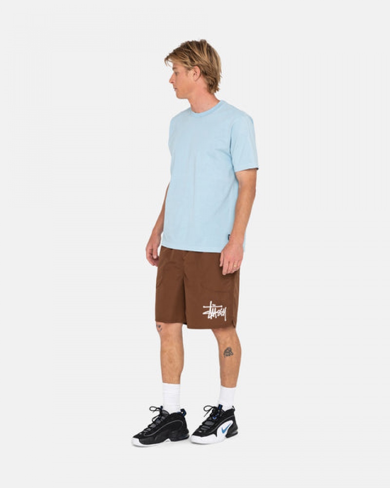 Coffee Men's Stussy Big Basic Water Short Swimwear | HCM-9584