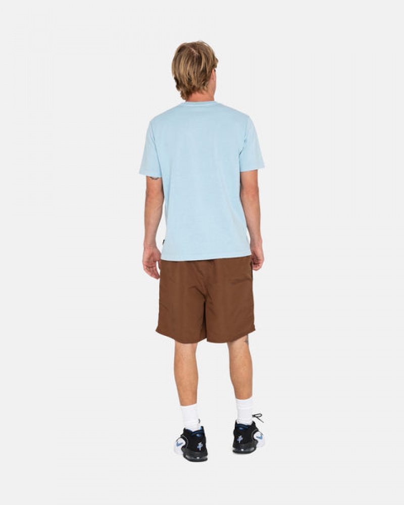 Coffee Men's Stussy Big Basic Water Short Swimwear | HCM-9584