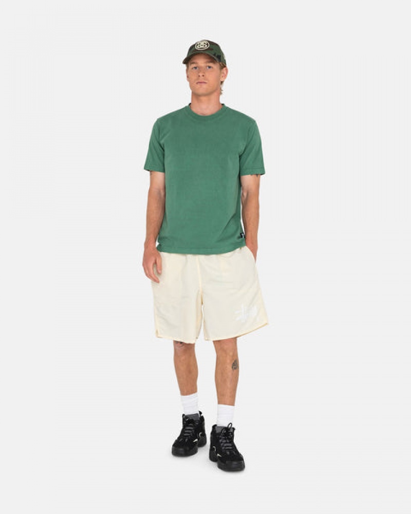 Cream Men's Stussy Big Basic Water Short Swimwear | KTN-1168