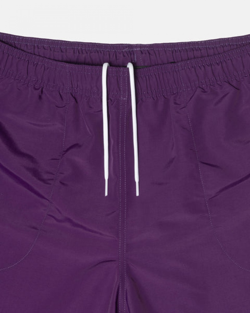 Fuchsia Men's Stussy Big Basic Water Short Swimwear | AGA-2564