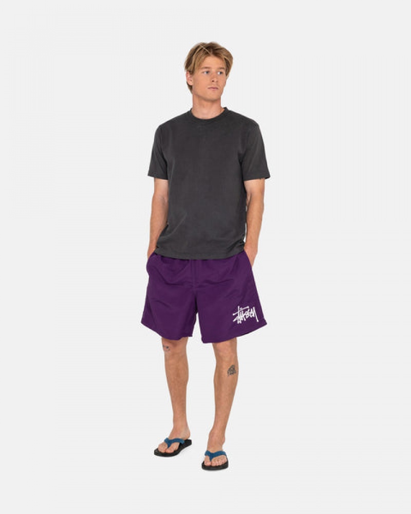 Fuchsia Men's Stussy Big Basic Water Short Swimwear | AGA-2564