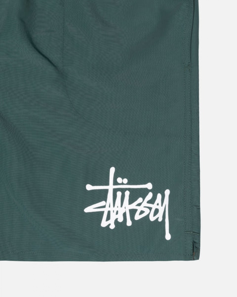 Green Men's Stussy Big Basic Water Short Swimwear | AHT-3020