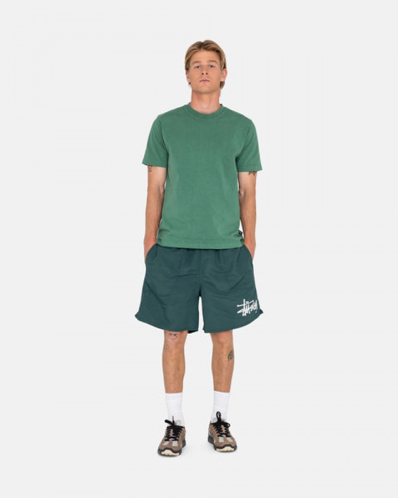 Green Men's Stussy Big Basic Water Short Swimwear | AHT-3020