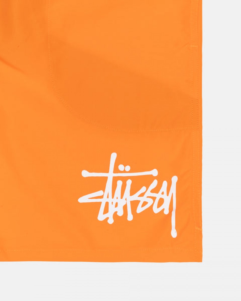 Orange Men's Stussy Water Short Big Basic Shorts | BTF-7326