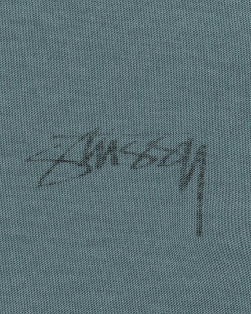 Turquoise Men's Stussy Lazy Ls Tees | VUD-3135